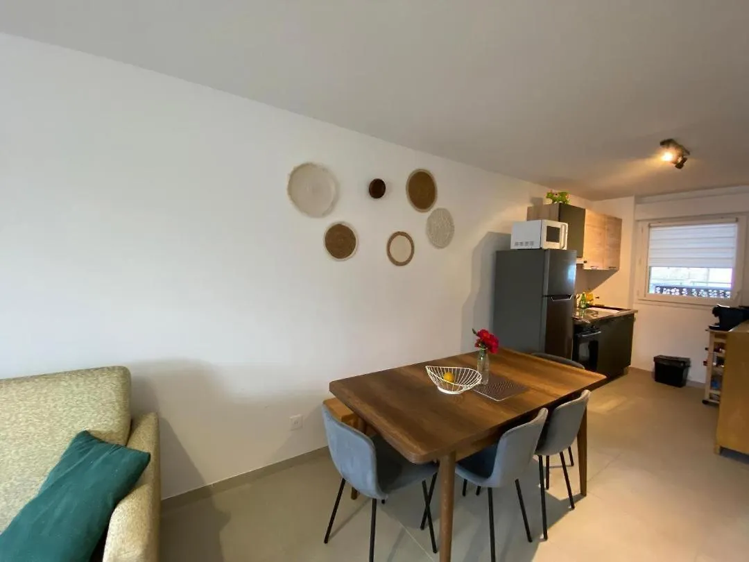 Apartment Bord Du Lac Cocoon Du Lac Draps Et Linge De Maison Menage Inclus Savines